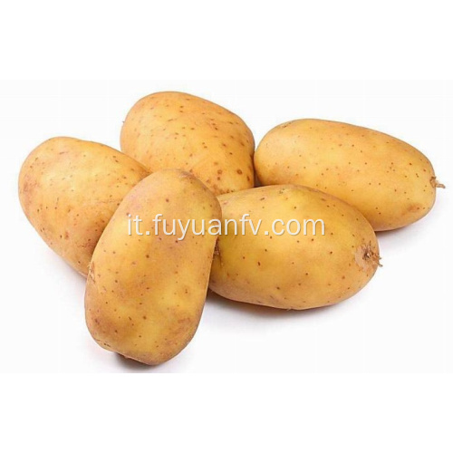 Hotsale patate fresche di buona qualità